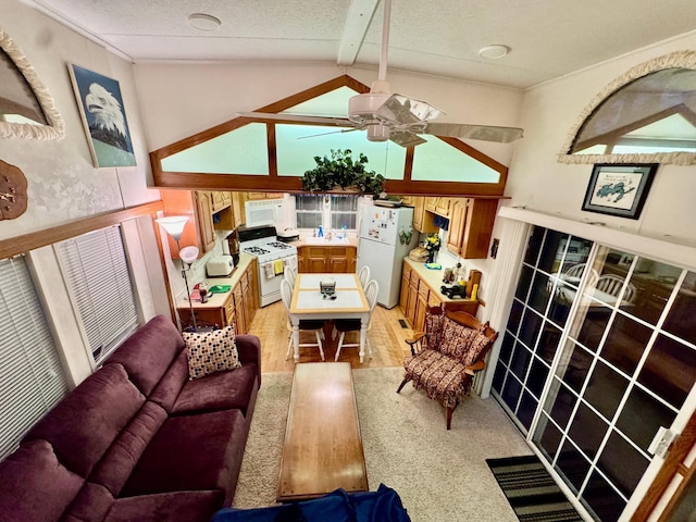 15827 Wilderness Trl Unit 127, Crosslake, MN 56442 - living room featuring lofted ceiling, ceiling fan, a textured ceiling, light wood-type flooring, and ornamental molding