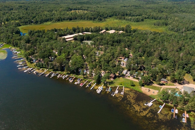 15827 Wilderness Trl Unit 127, Crosslake, MN 56442 - view of property location with a forest and a large body of water