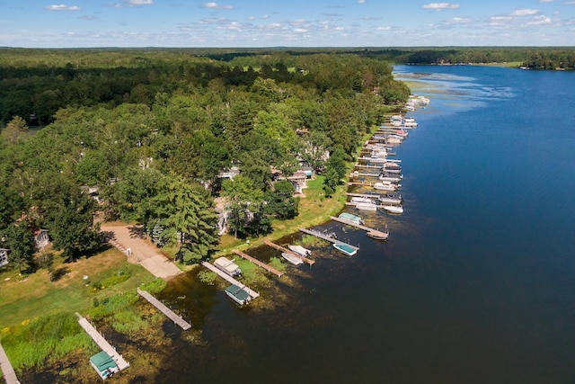 15827 Wilderness Trl Unit 127, Crosslake, MN 56442 - aerial overview of property's location featuring a nearby body of water and a forest