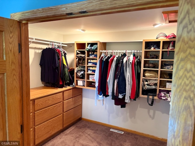 W5168 Lake Rd, Warner Twp, WI 54437 - spacious closet with carpet flooring