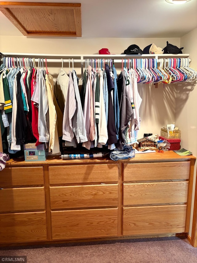 W5168 Lake Rd, Warner Twp, WI 54437 - walk in closet featuring carpet floors
