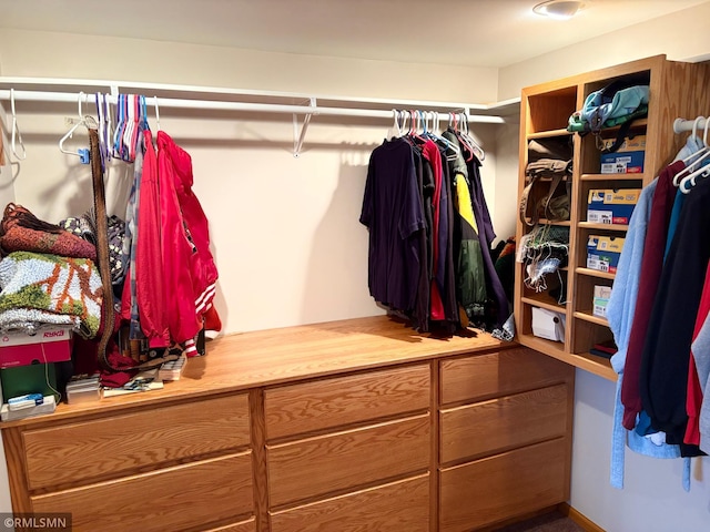 W5168 Lake Rd, Warner Twp, WI 54437 - view of spacious closet