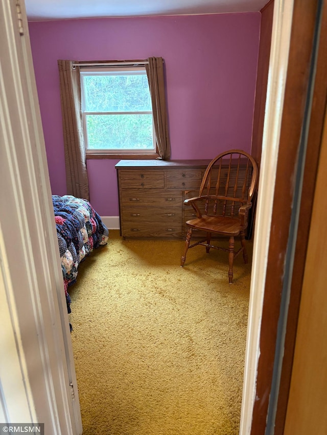 W5168 Lake Rd, Warner Twp, WI 54437 - bedroom with carpet flooring