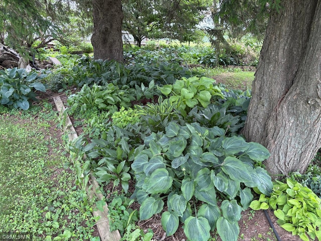 W5168 Lake Rd, Warner Twp, WI 54437 - view of nature
