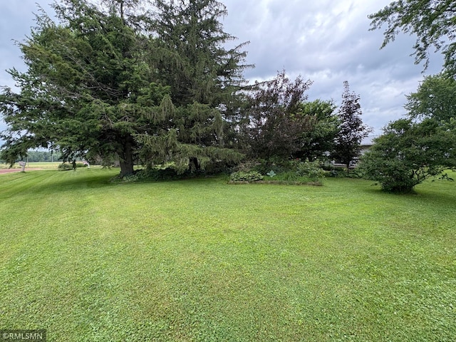 W5168 Lake Rd, Warner Twp, WI 54437 - view of green lawn