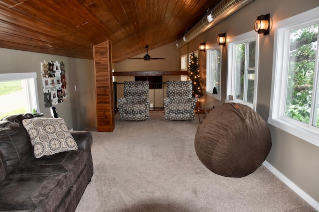 72443 475th Ave, Minneota Twp, MN 56143 - photo 25