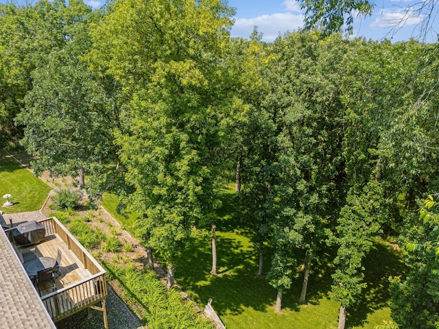 899 Willow Ridge 1, Hudson, WI 54016 - photo 17