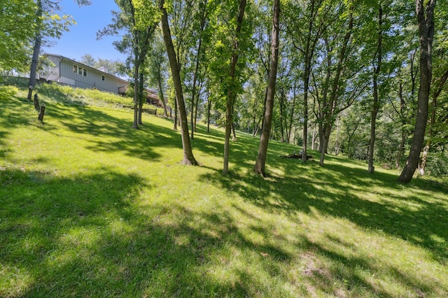 899 Willow Ridge 1, Hudson, WI 54016 - photo 18