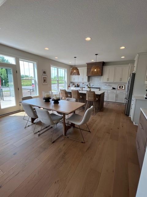 10399 Shadyview Pl N, Maple Grove, MN 55311 - photo 5