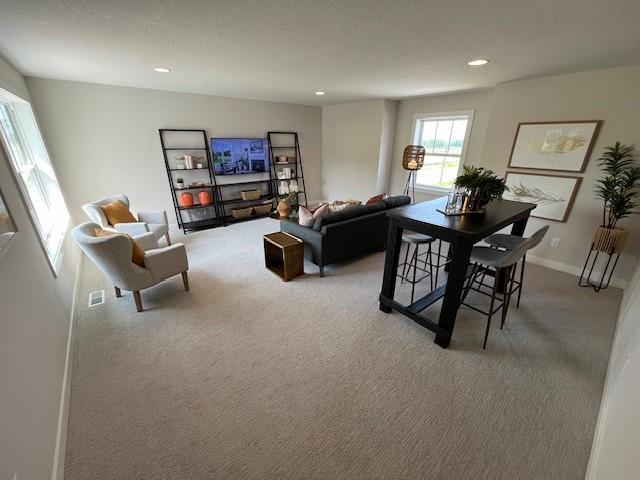 10399 Shadyview Pl N, Maple Grove, MN 55311 - photo 9