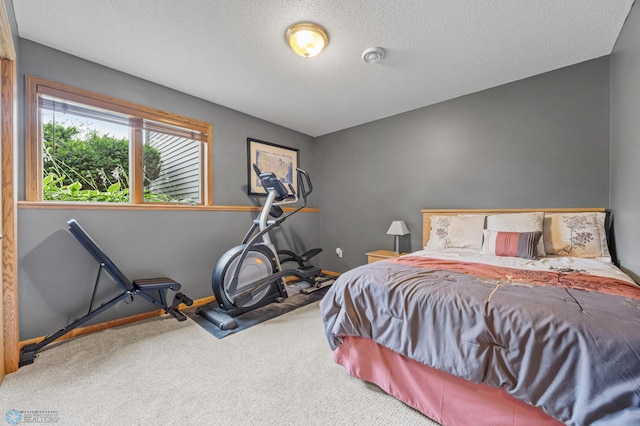 2803 33rd St S, Fargo, ND 58103 - photo 27