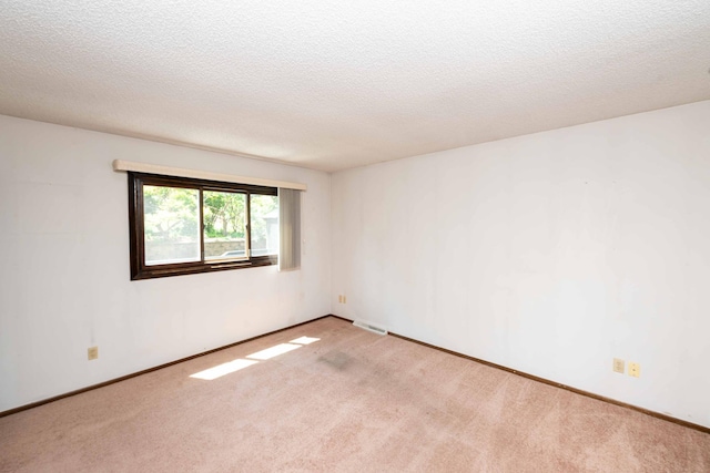 1290 Polk Pl, Columbia Heights, MN 55421 - empty room featuring light carpet and a textured ceiling