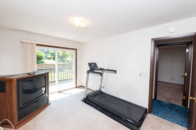 1290 Polk Pl, Columbia Heights, MN 55421 - workout room with carpet floors and a textured ceiling