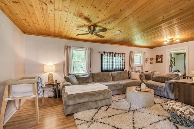 25717 Dongola Rd, Webster, WI 54893 - photo 12