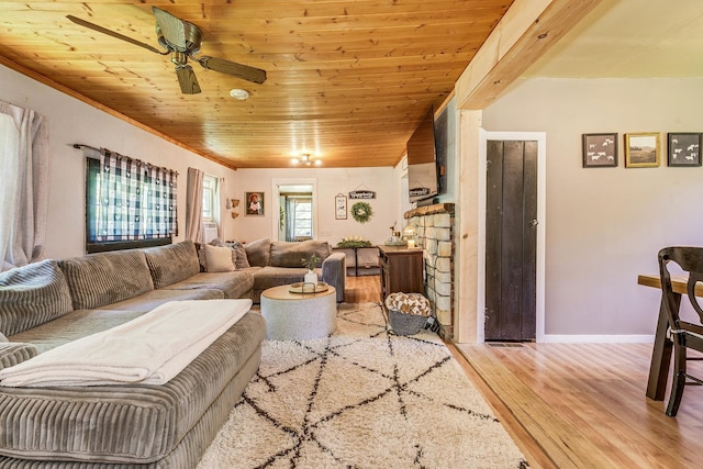 25717 Dongola Rd, Webster, WI 54893 - photo 13