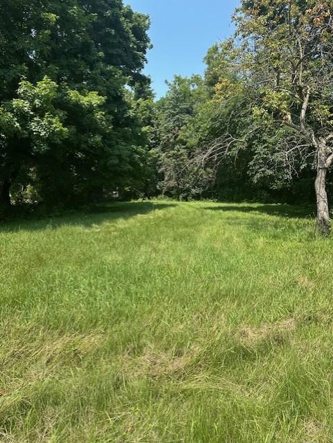 706 5th St SW, Pine Island, MN 55963 - photo 2