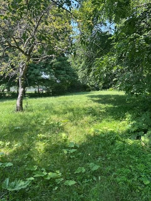 706 5th St SW, Pine Island, MN 55963 - photo 3