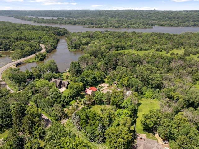 9050 Grey Cloud Island Dr S, Grey Cloud Island Twp, MN 55071 - photo 62