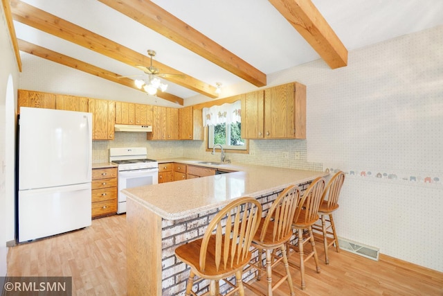 5733 Riverview Entry, Champlin, MN 55316 - kitchen with white appliances, under cabinet range hood, light wood-style floors, light countertops, and a peninsula