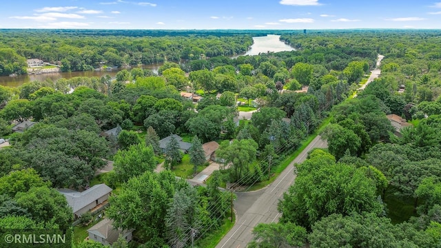 5733 Riverview Entry, Champlin, MN 55316 - drone / aerial view of a forest and a nearby body of water