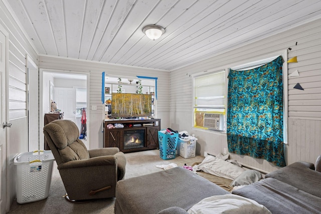 322 Cottage Ave E, Saint Paul, MN 55130 - photo 22