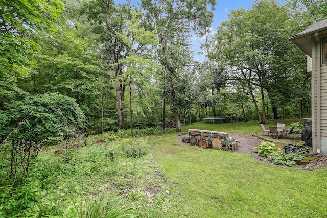 7670 231st St N, Forest Lake, MN 55025 - photo 29