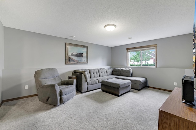 1035 Emerald St NE, Hanover, MN 55341 - living room featuring carpet and a textured ceiling