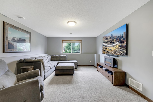1035 Emerald St NE, Hanover, MN 55341 - carpeted living area with baseboards and a textured ceiling