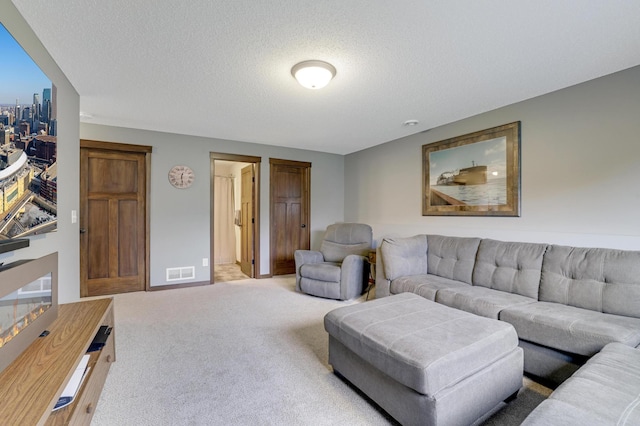 1035 Emerald St NE, Hanover, MN 55341 - carpeted living area with a textured ceiling and baseboards