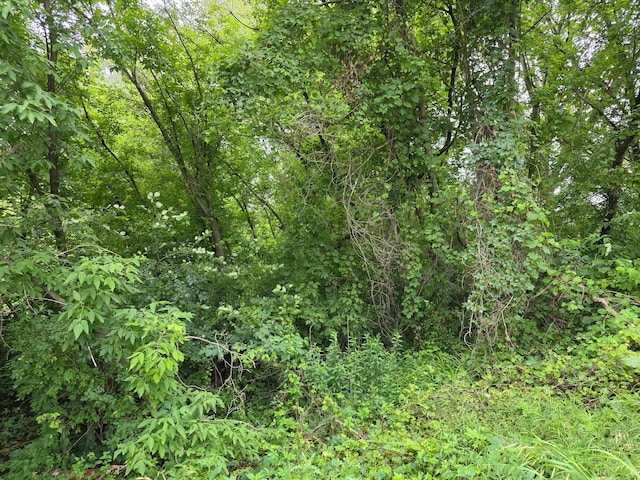 TBD Michigan Ave, Crosby, MN 56441 - photo 2
