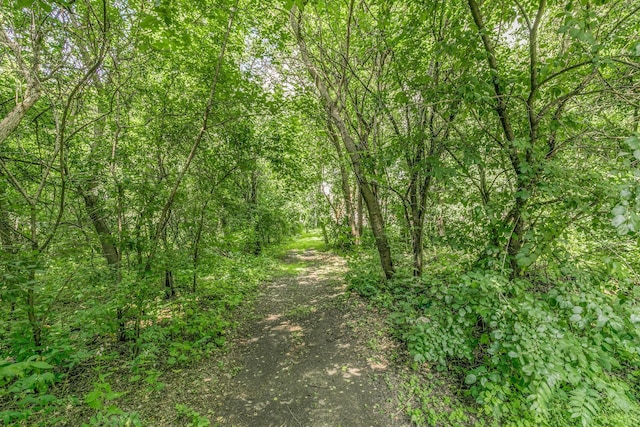 428 Evergreen Park Blvd, Litchfield, MN 55355 - photo 27