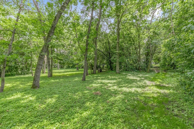 428 Evergreen Park Blvd, Litchfield, MN 55355 - photo 28