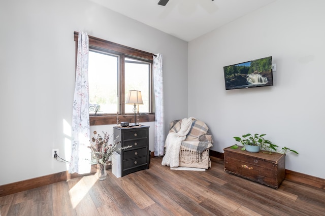 7170 29th Ave SW, Pequot Lakes, MN 56472 - living area featuring wood finished floors and a ceiling fan