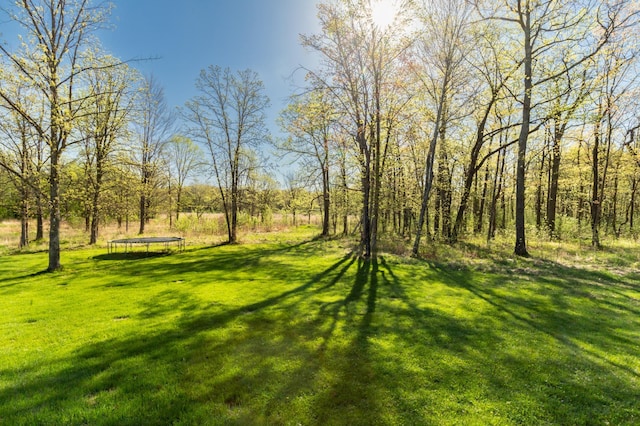 7170 29th Ave SW, Pequot Lakes, MN 56472 - view of green lawn featuring a trampoline