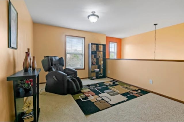 15850 Elmwood Ln, Apple Valley, MN 55124 - sitting room with carpet floors