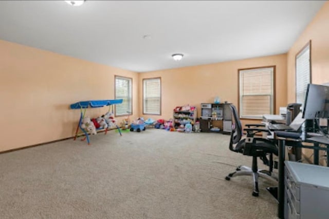 15850 Elmwood Ln, Apple Valley, MN 55124 - home office with carpet flooring