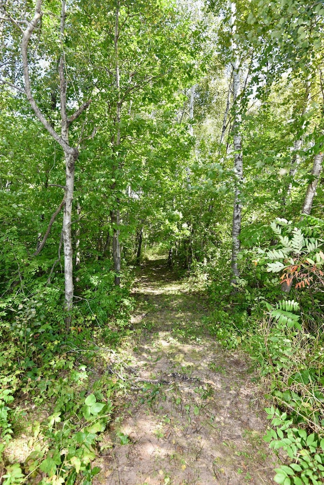 2751 120th Ave, Princeton, MN 55371 - photo 70