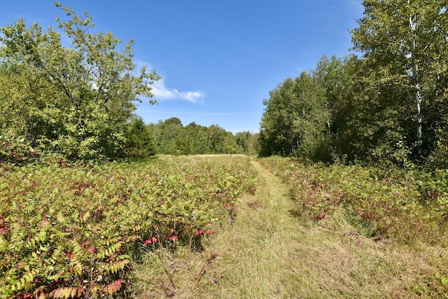 2751 120th Ave, Princeton, MN 55371 - photo 73