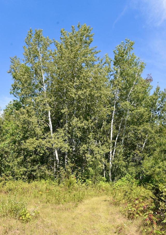 2751 120th Ave, Princeton, MN 55371 - photo 78