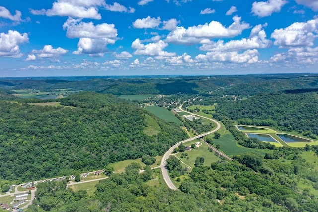 0 County Road 20, Hillsdale Twp, MN 55969