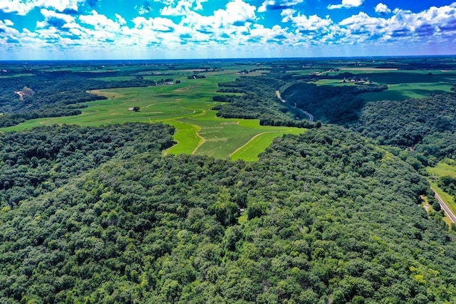 0 County Road 20, Hillsdale Twp, MN 55969