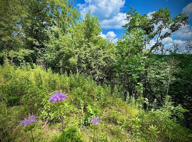 0 County Road 20, Hillsdale Twp, MN 55969