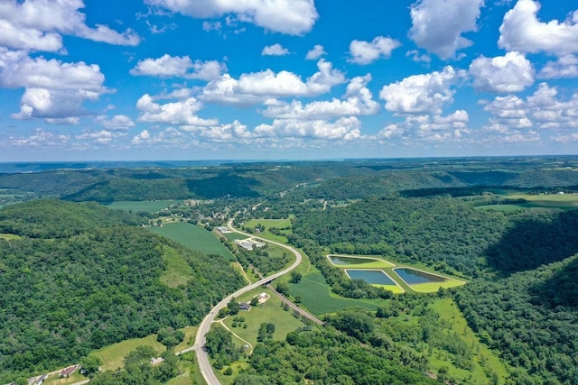 0 County Road 20, Hillsdale Twp, MN 55969