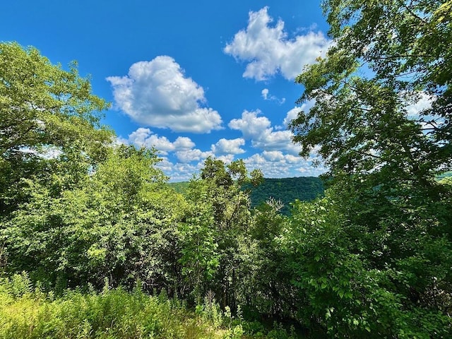 0 County Road 20, Hillsdale Twp, MN 55969
