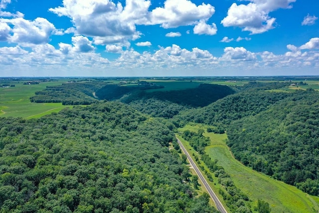 0 County Road 20, Hillsdale Twp, MN 55969