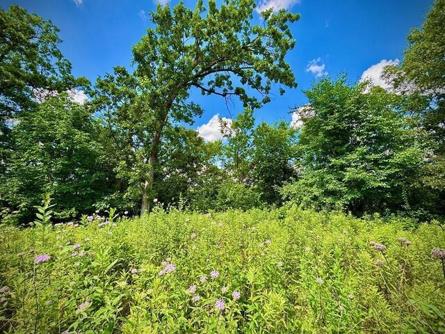 0 County Road 20, Hillsdale Twp, MN 55969