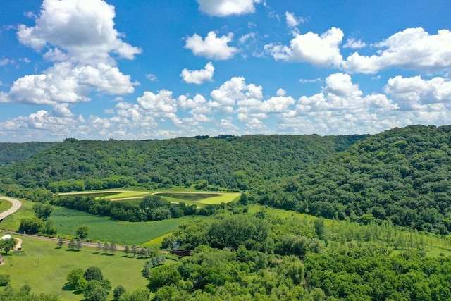 0 County Road 20, Hillsdale Twp, MN 55969