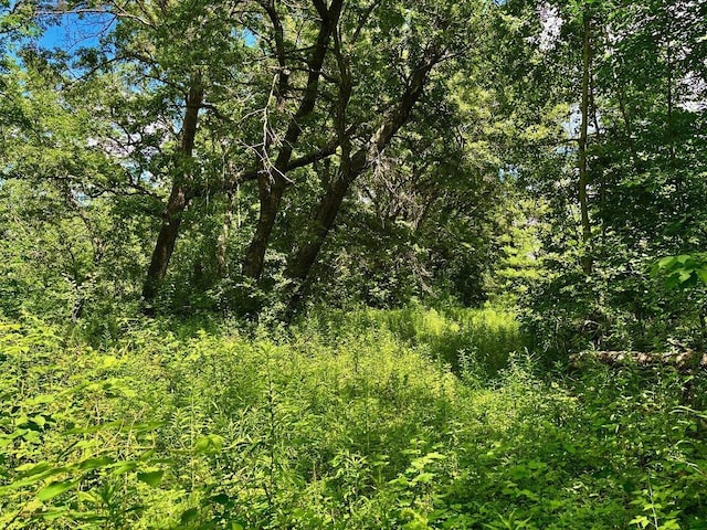 0 County Road 20, Hillsdale Twp, MN 55969