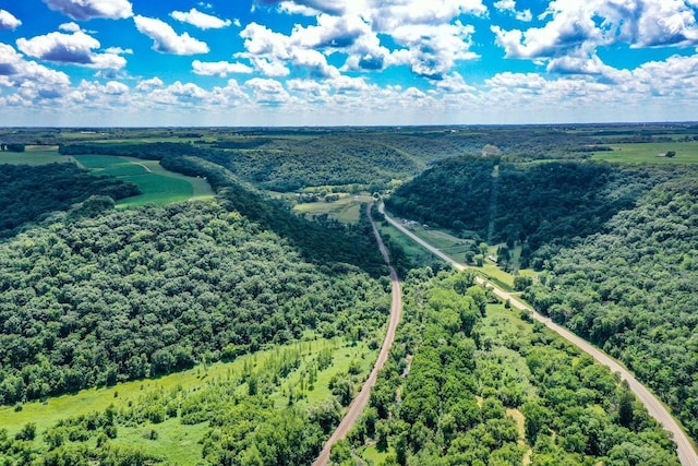 0 County Road 20, Hillsdale Twp, MN 55969