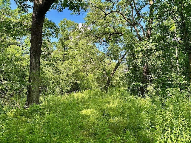 0 County Road 20, Hillsdale Twp, MN 55969